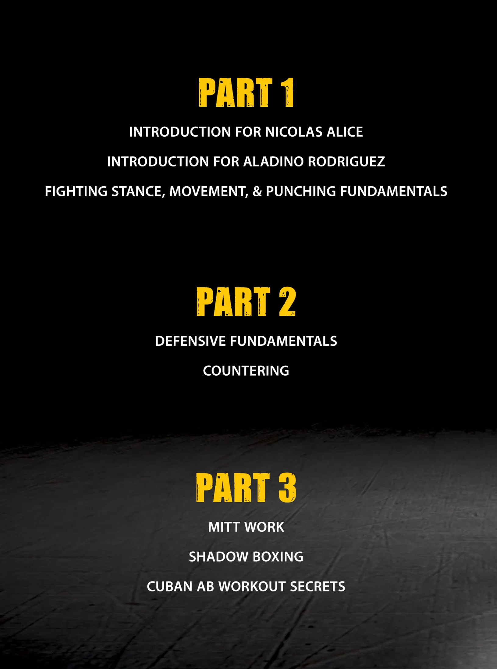 Cuban Boxing Fundamentals by Aladino Rodriguez and Isidoro Nicolas - Image 2