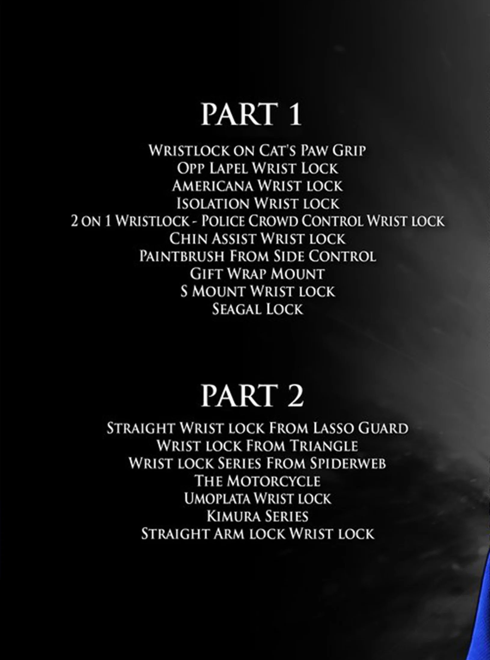 Wrist Locks From Everywhere by Travis Stevens - Image 2